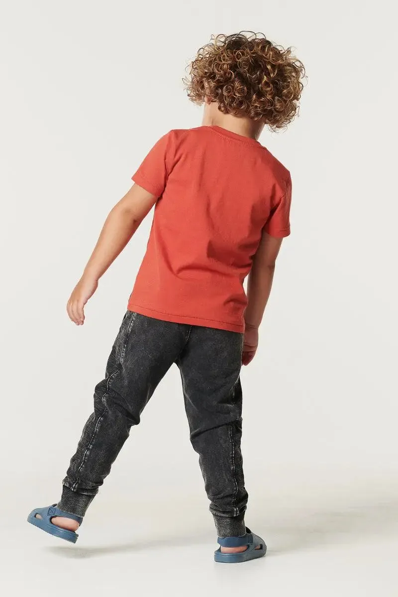 Boys Tee Shortsleeve Garoua | Noppies